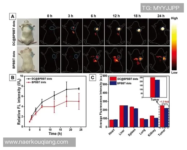 深圳篮球队团队协作的成功秘诀与战术分析探讨